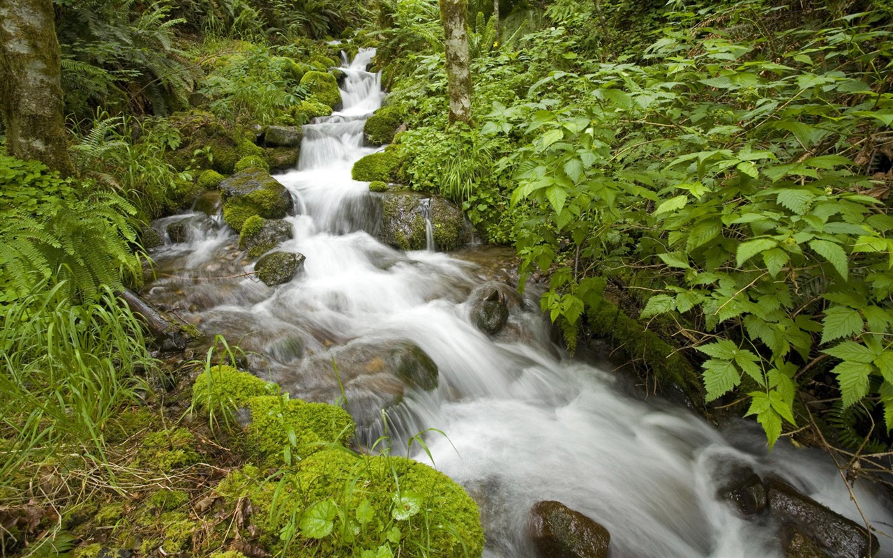 Water streams HD Wallpapers #24 - 1280x800