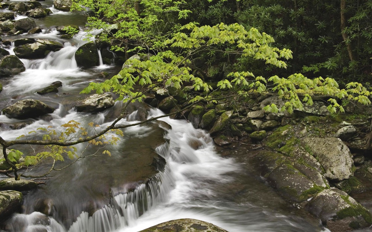 Corrientes de agua HD Wallpapers #29 - 1280x800