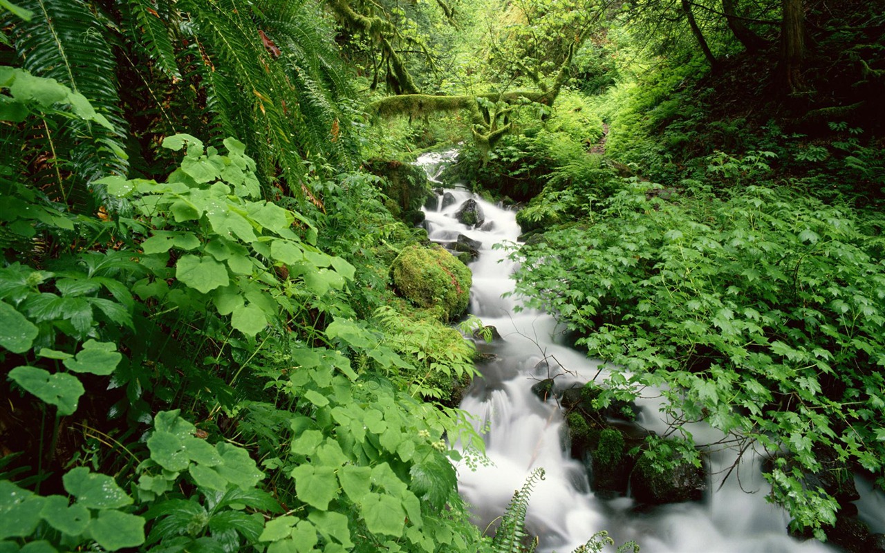 Vodní toky HD Tapety na plochu #34 - 1280x800