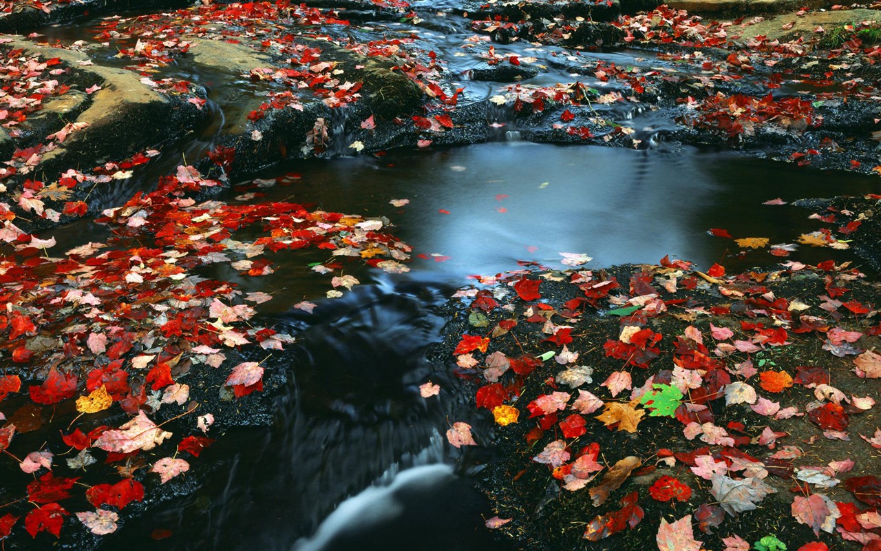 Corrientes de agua HD Wallpapers #40 - 1280x800