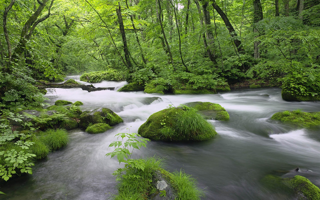 Windows7 官方風景壁紙 #11 - 1280x800