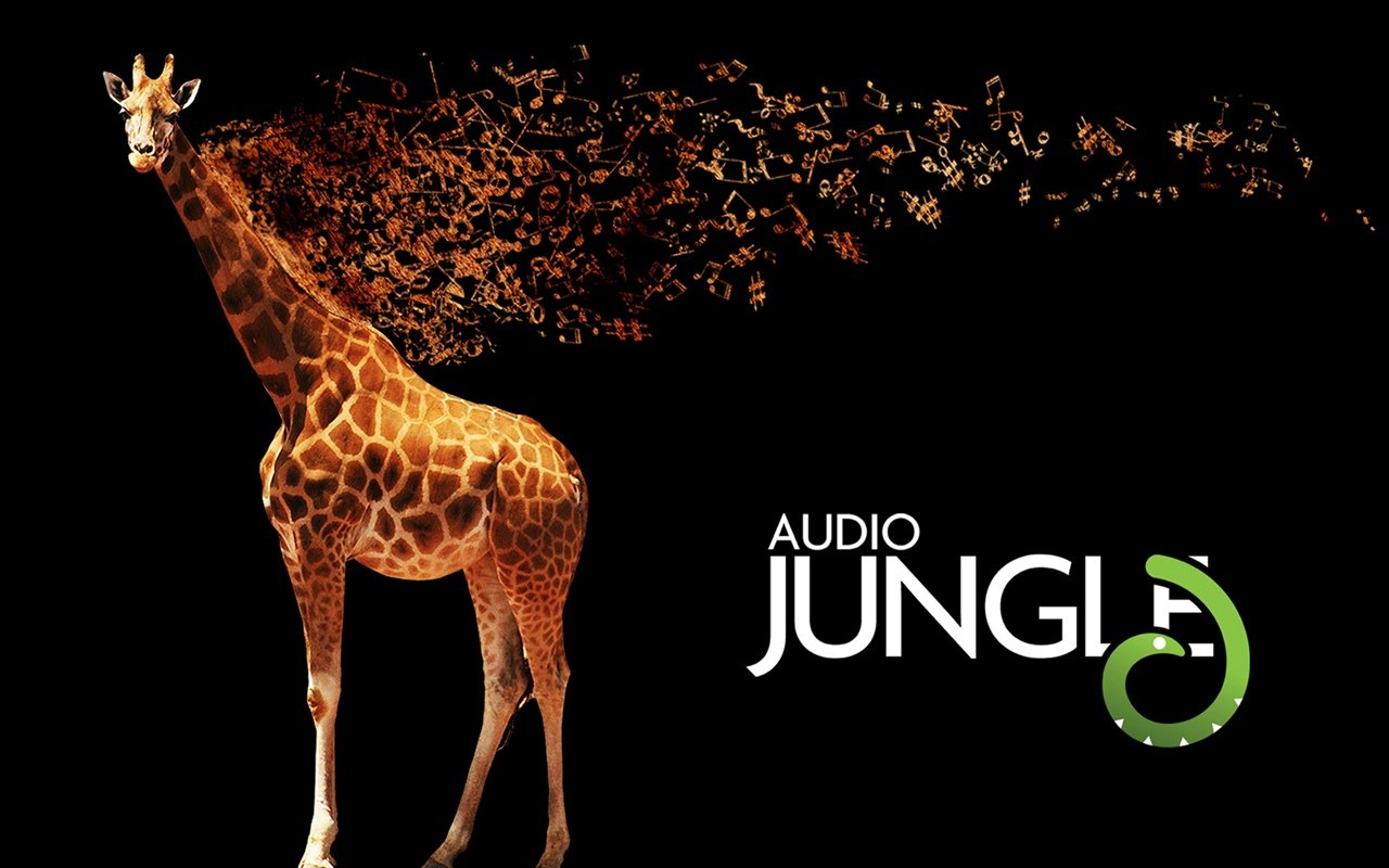 Audio Jungle diseño del papel pintado #11 - 1280x800