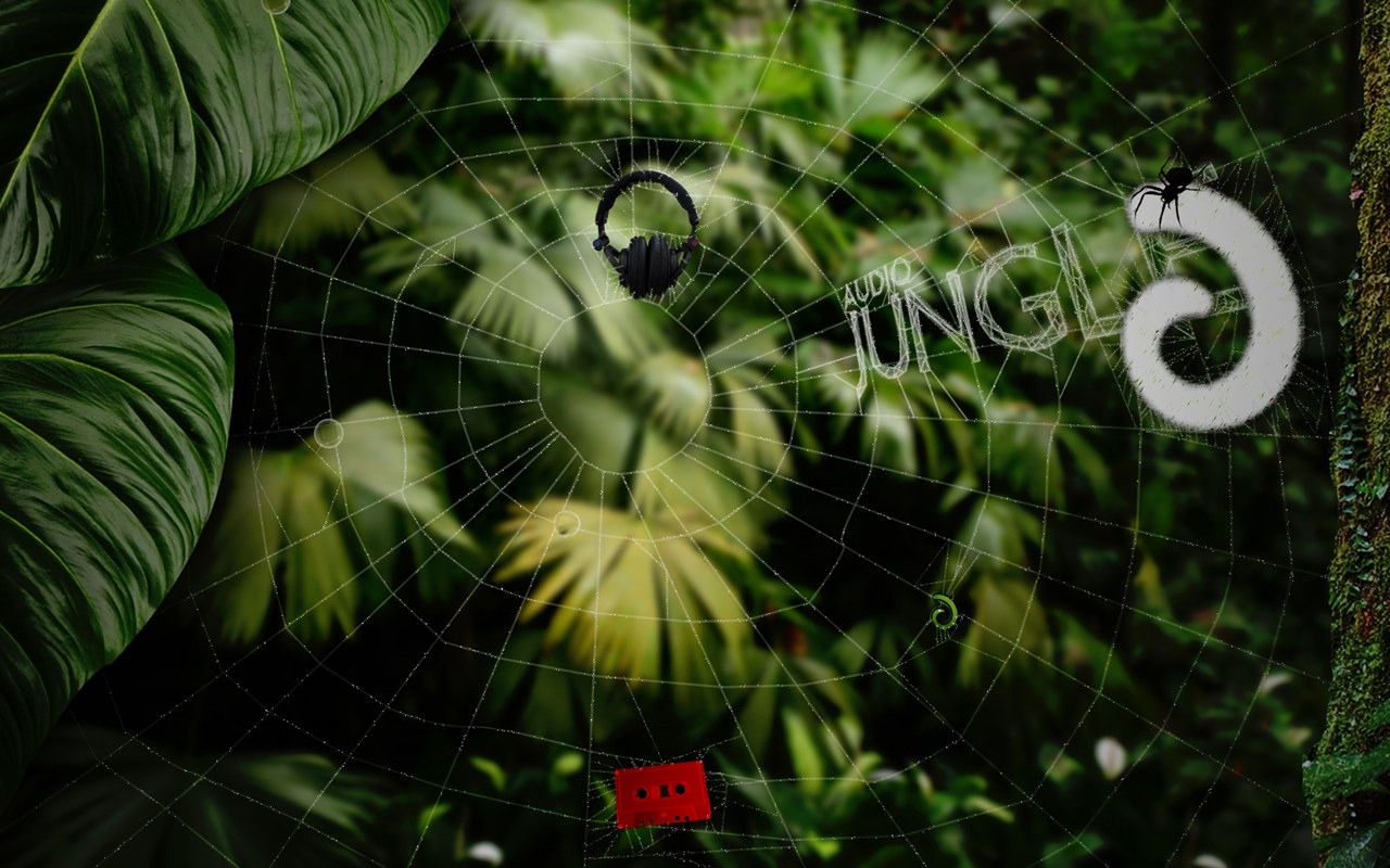 Audio Jungle設計壁紙 #17 - 1280x800