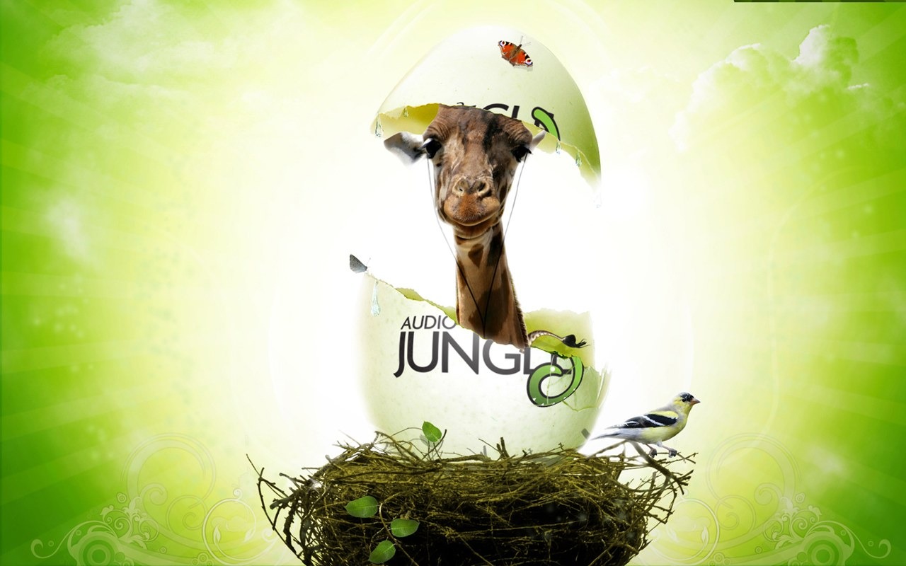 Audio Jungle Wallpaper Design #20 - 1280x800