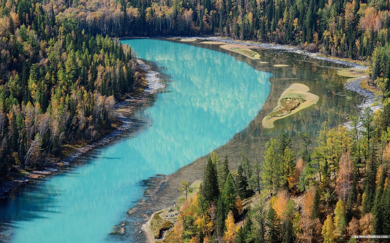 El fondo de pantalla bosque del otoño #42 - 1280x800