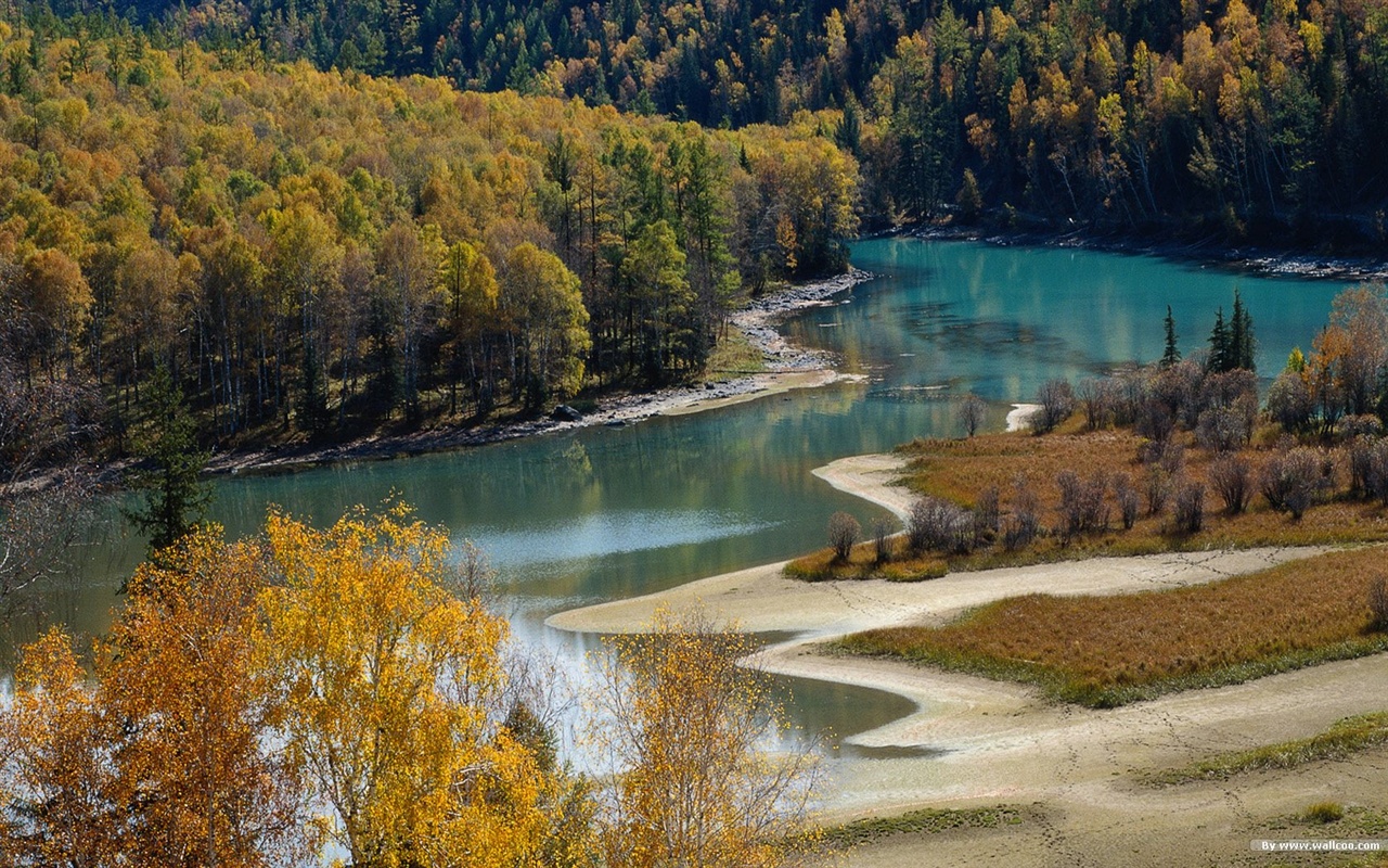 The autumn forest wallpaper #43 - 1280x800