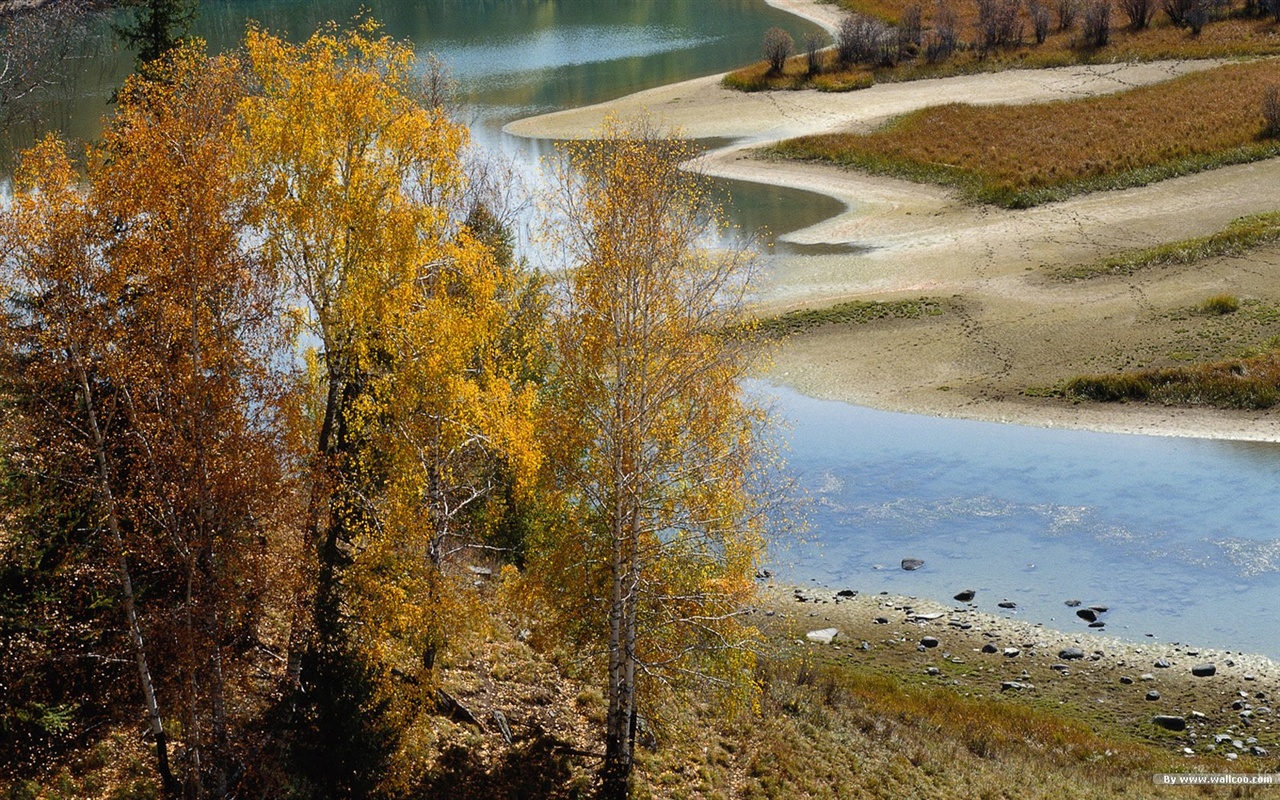 podzimní les tapety #44 - 1280x800