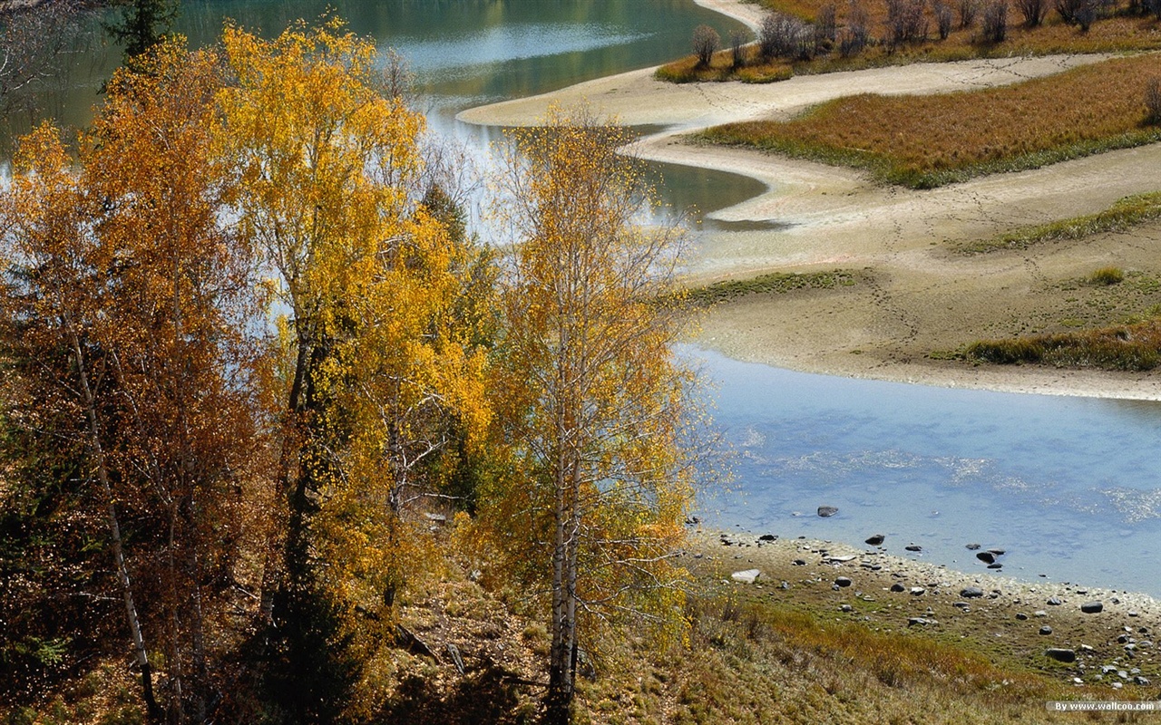 El fondo de pantalla bosque del otoño #44 - 1280x800