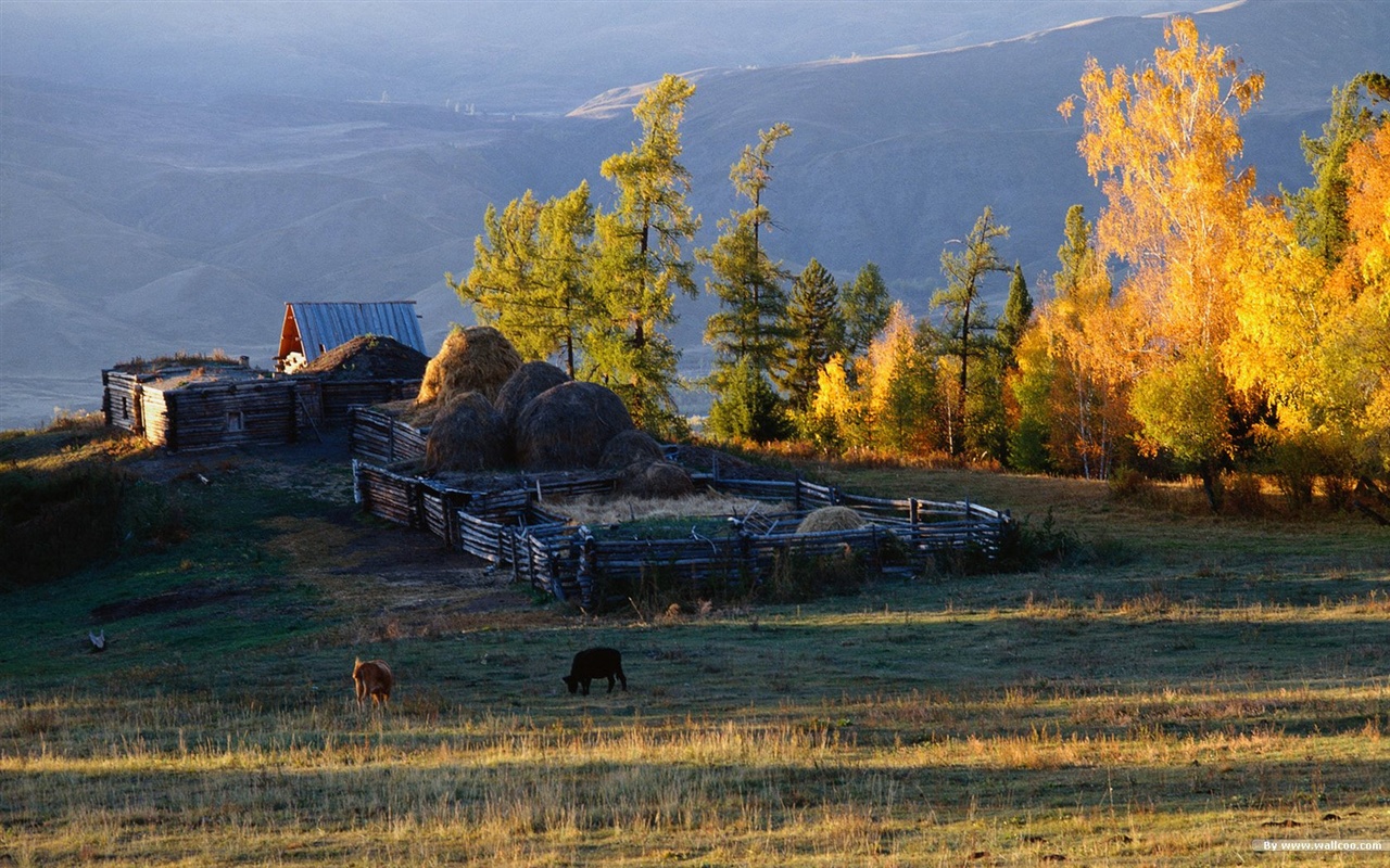 El fondo de pantalla bosque del otoño #45 - 1280x800