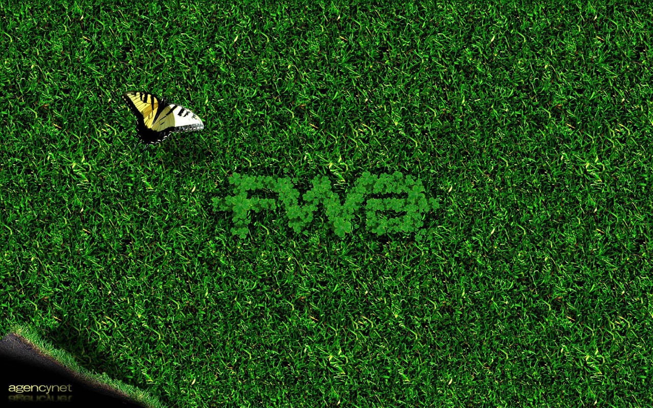 Widescreen Wallpaper FWA Album #4 - 1280x800