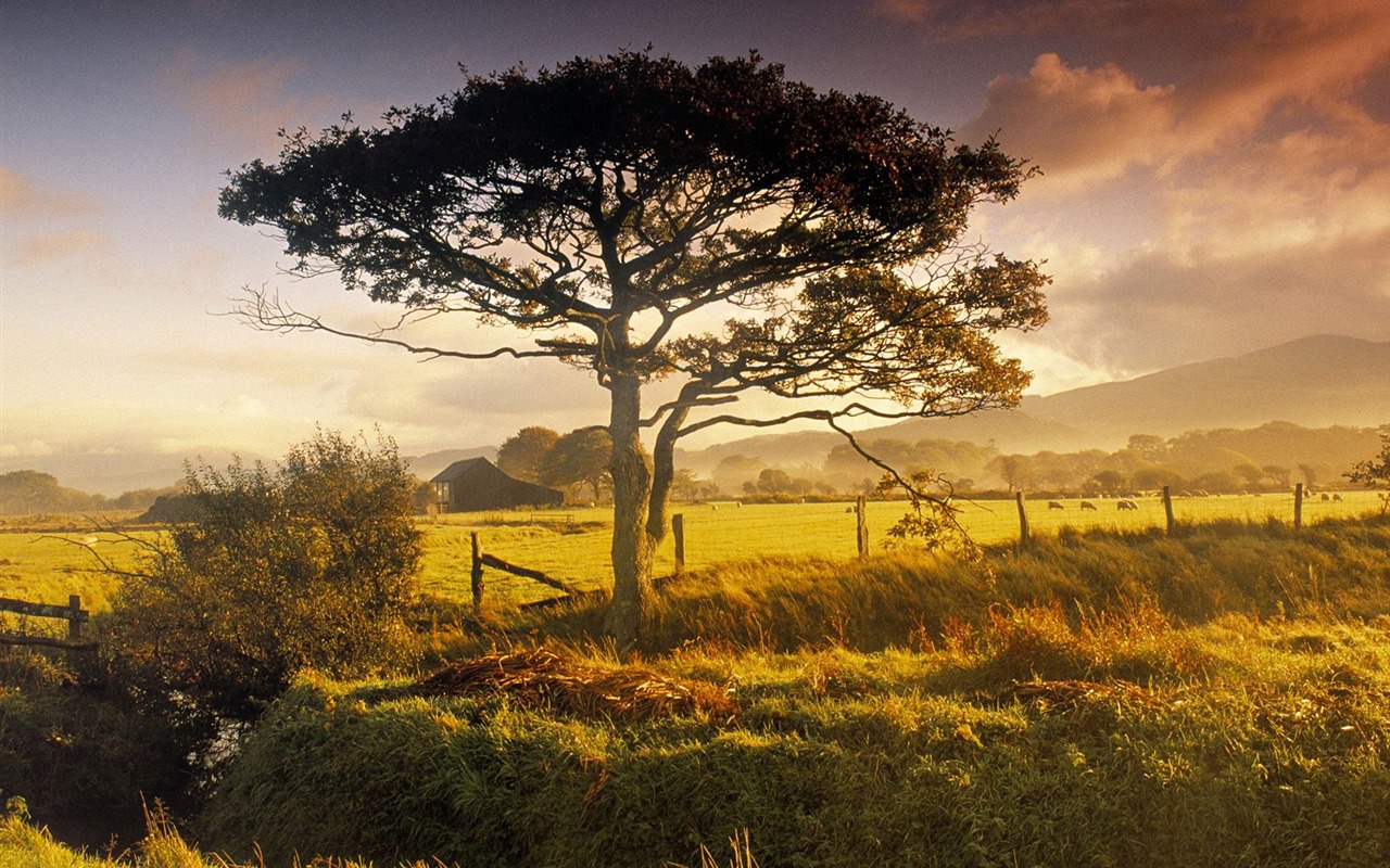 Europäische Landschaften schöne Tapete #32 - 1280x800