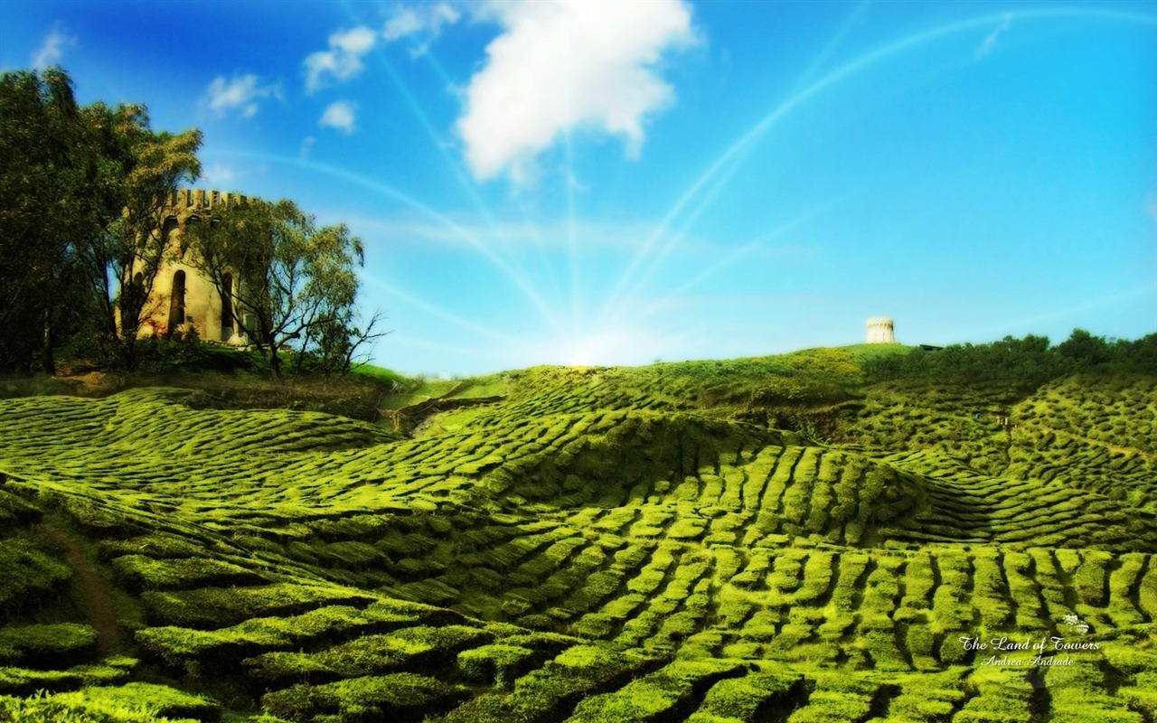 PS Widescreen Landscape Wallpapers #25 - 1280x800