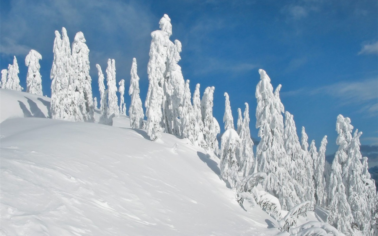 Stunning scenery HD Wallpapers #13 - 1280x800