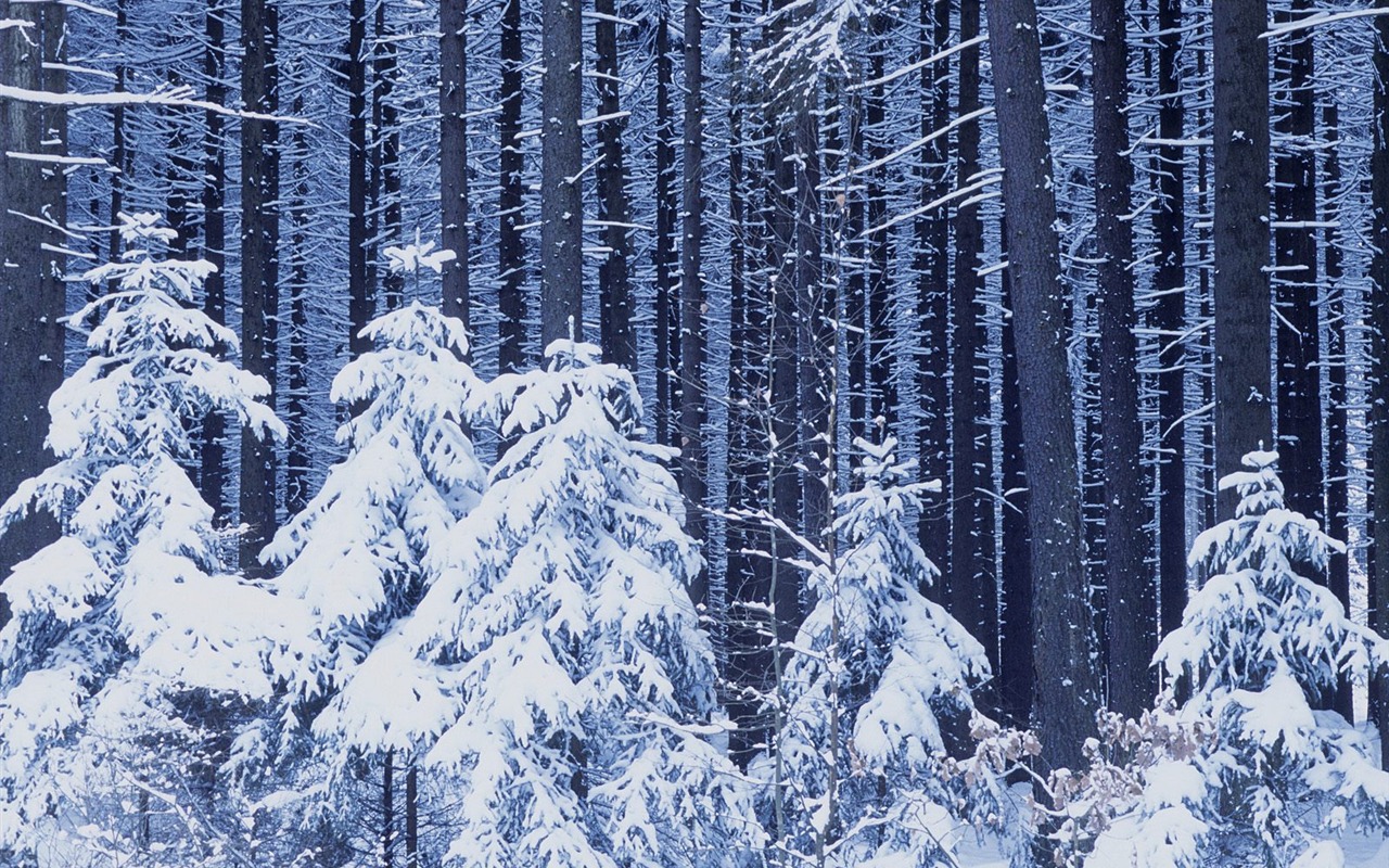 nádherné přírodní scenérie HD Tapety na plochu #35 - 1280x800
