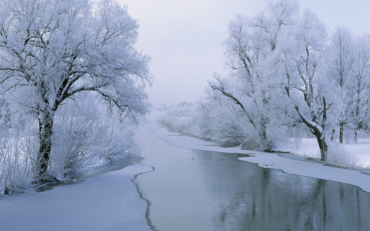 Featured Desktop Wallpapers (1) #40 - 1280x800