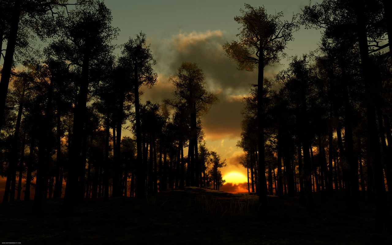 Widescreen Wallpaper Collection #17 - 1280x800