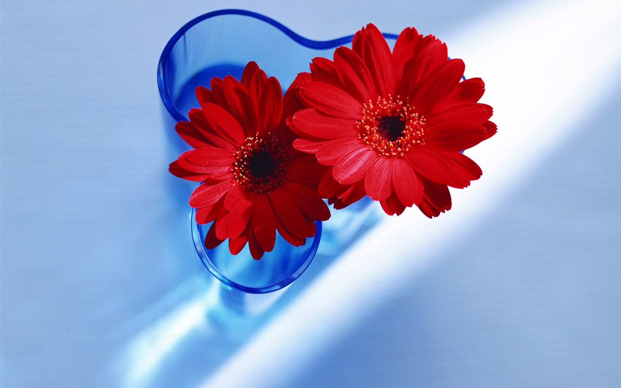 Room, exquisite flower wallpaper #14 - 1280x800