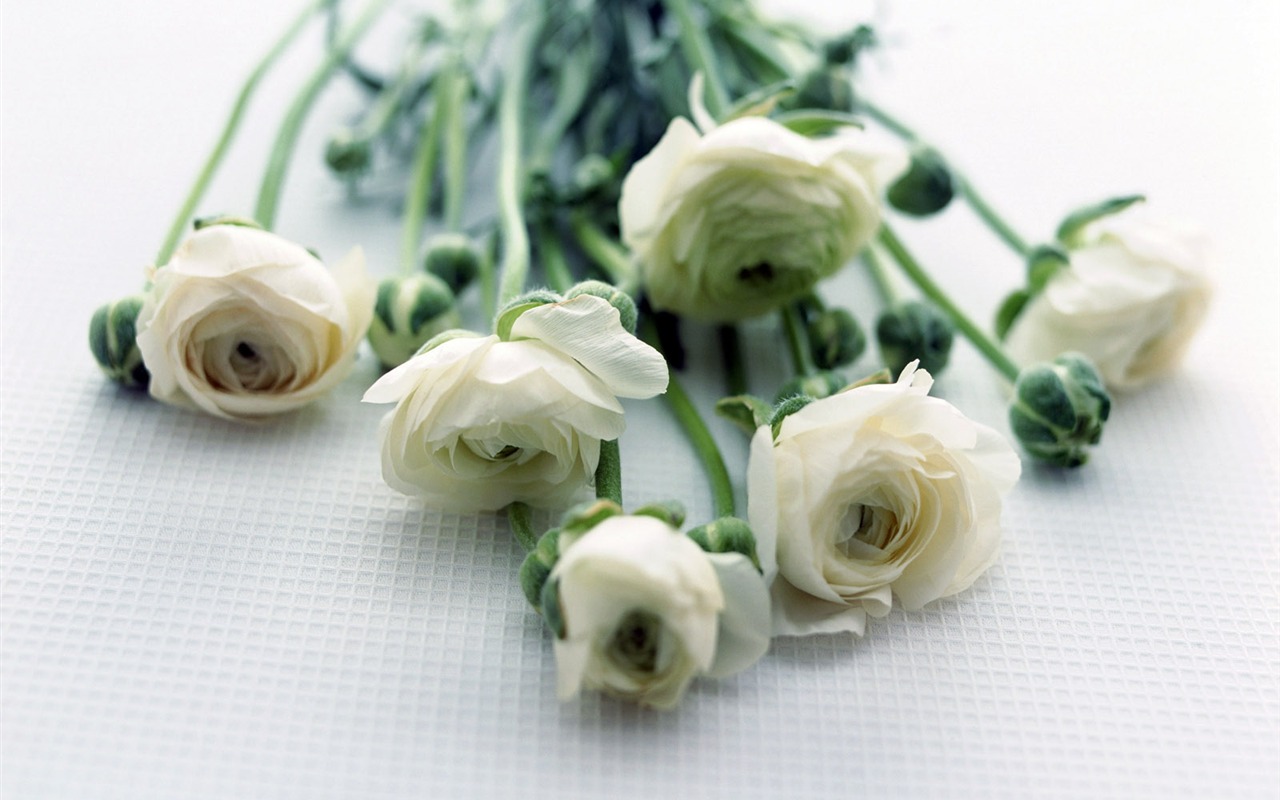 Room, exquisite flower wallpaper #16 - 1280x800