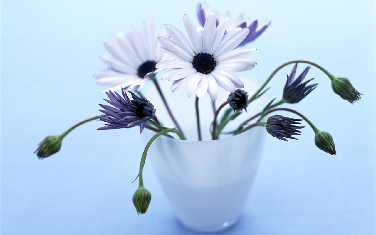 Chambre, le papier peint de fleurs exquises #40 - 1280x800