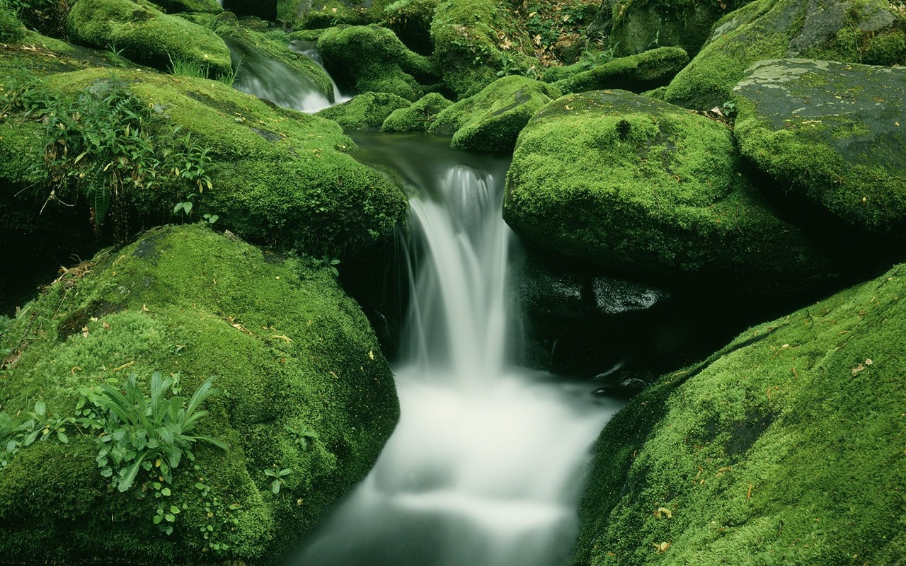 Webshots風光壁紙(四) #4 - 1280x800