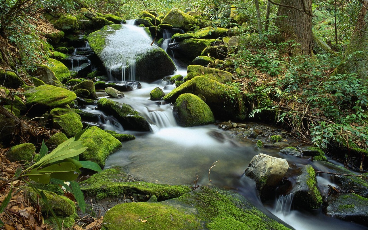 Webshots Scenery Wallpapers (4) #8 - 1280x800