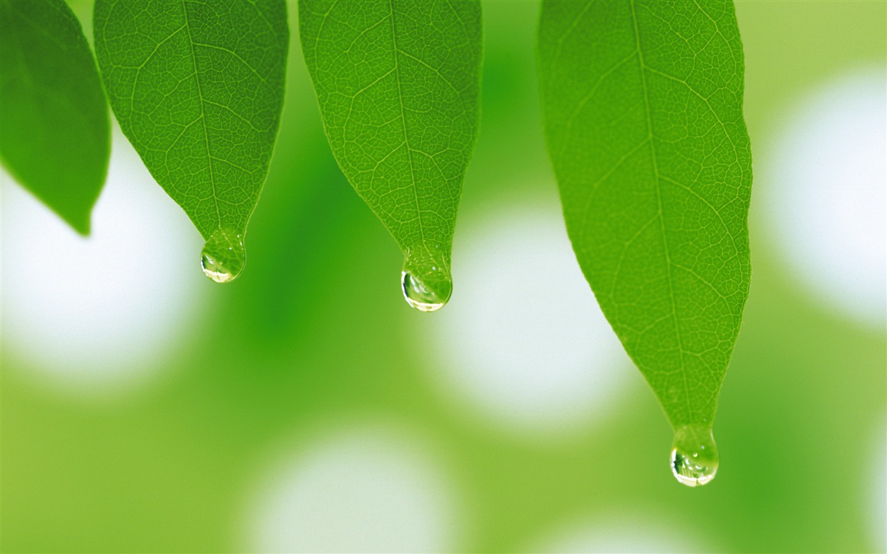 Fondos de recogida de protección para los ojos #2 - 1280x800