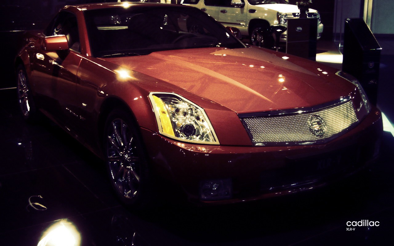 Perfect sports car wallpaper #2 - 1280x800