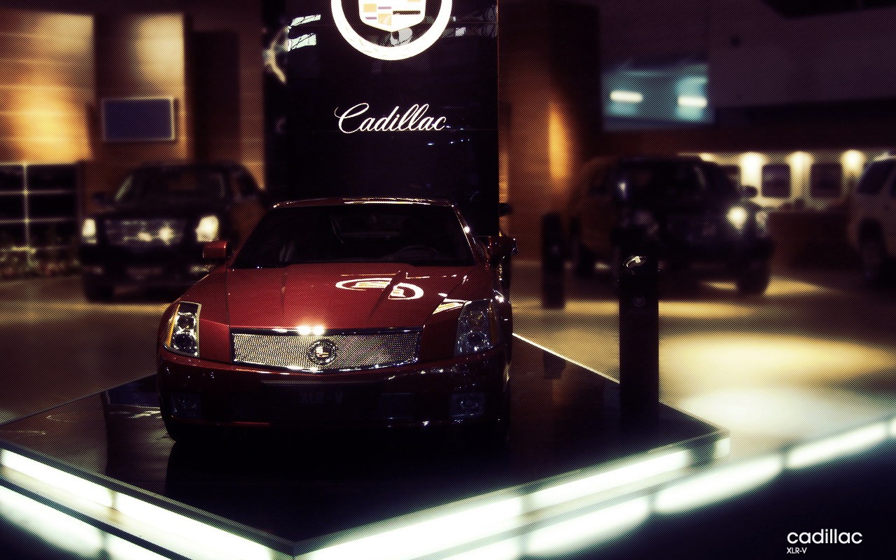 Perfect sports car wallpaper #4 - 1280x800