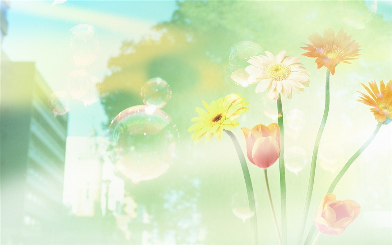 綠色環境主題PS壁紙 #4 - 1280x800