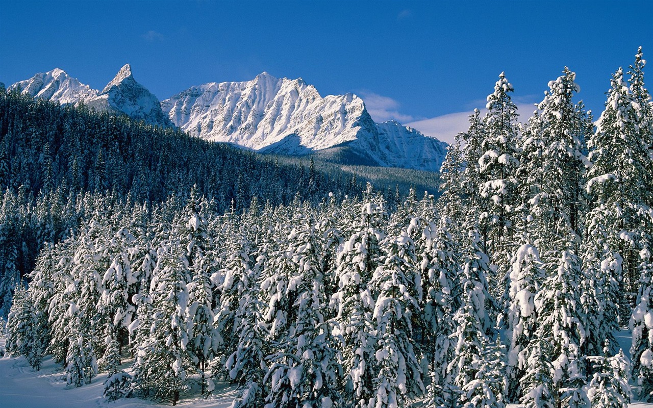 Beautiful natural scenery Wallpaper #16 - 1280x800