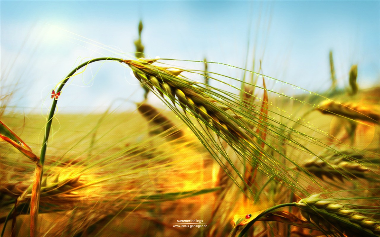 Cool design wallpaper selection #8 - 1280x800