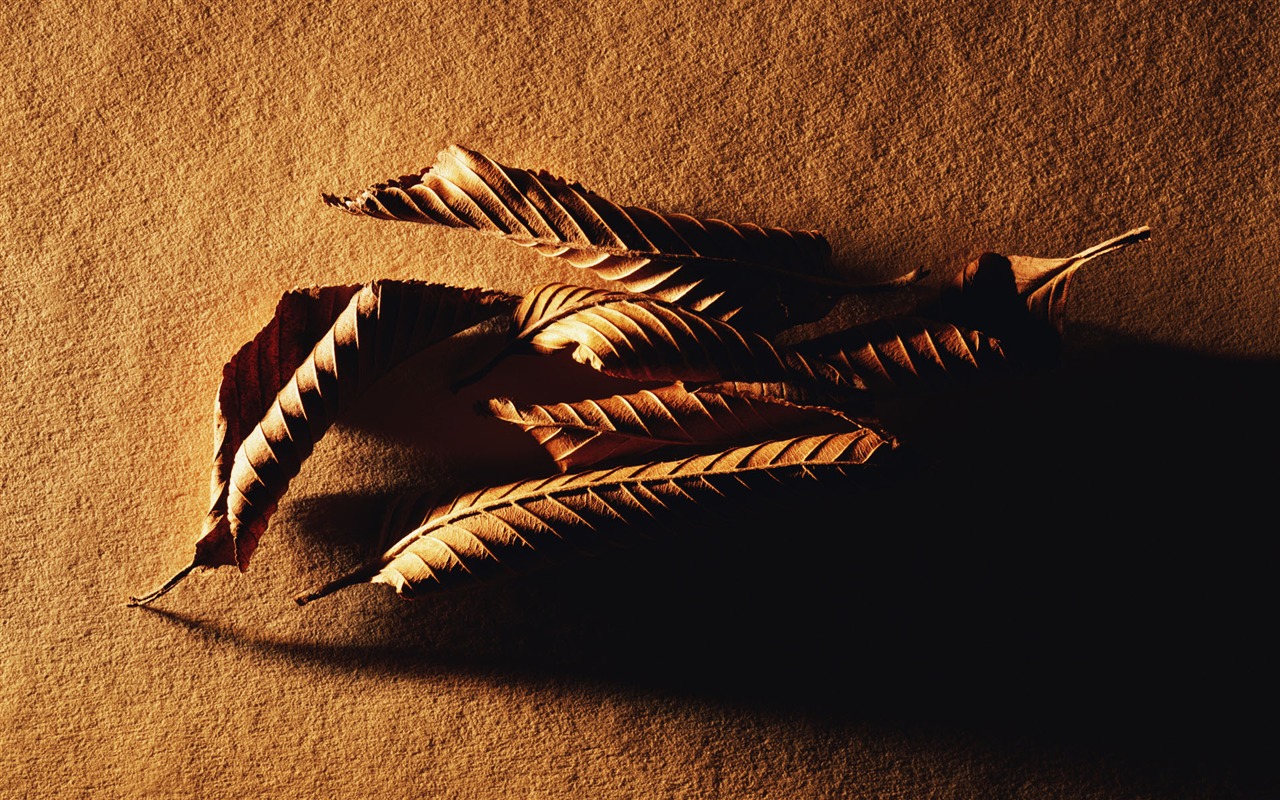 Millennium biological Wallpaper Album (2) #20 - 1280x800