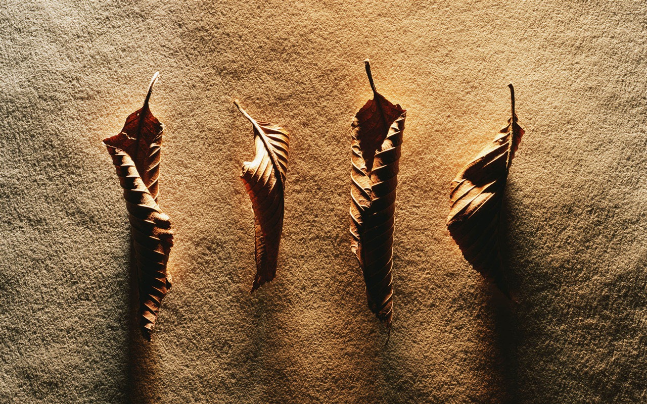 Millennium biological Wallpaper Album (2) #21 - 1280x800