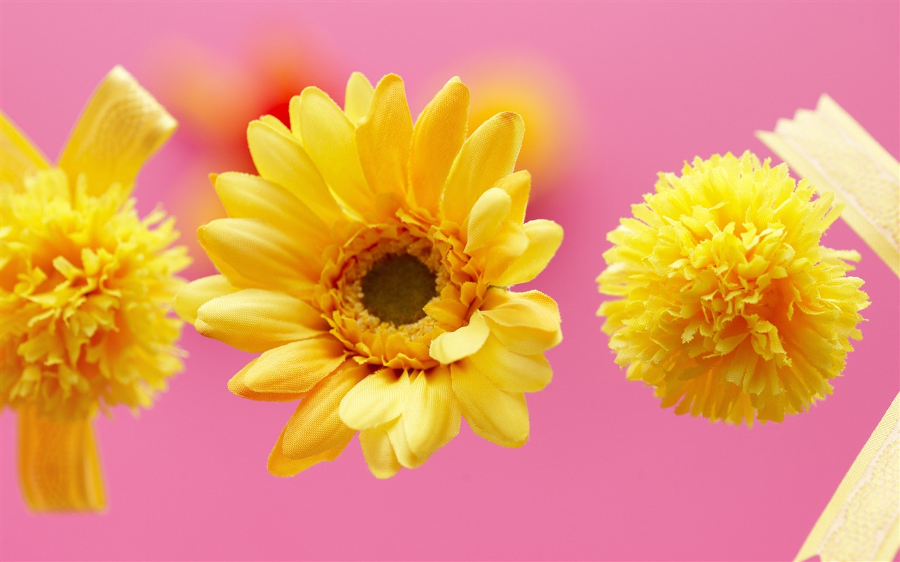 Květiny Dárky HD Tapety na plochu (2) #15 - 1280x800