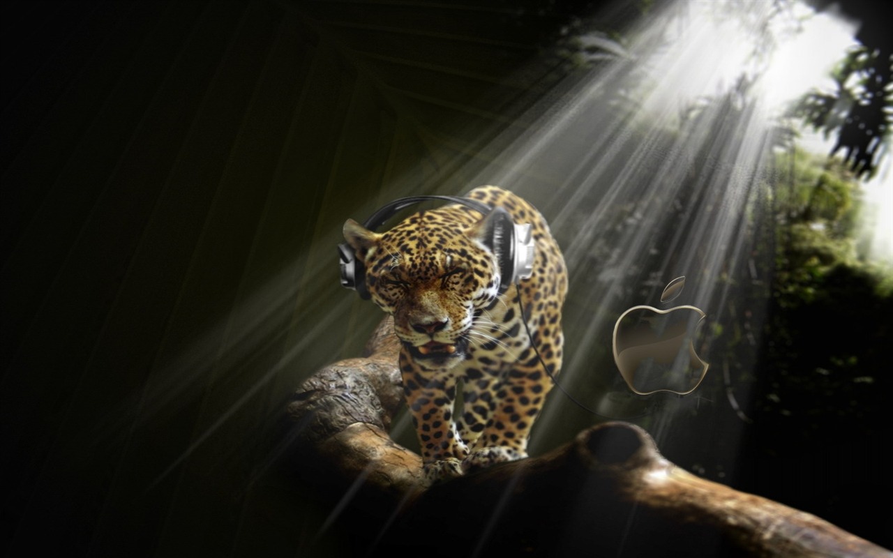 Cool non-mainstream wallpaper (4) #24 - 1280x800