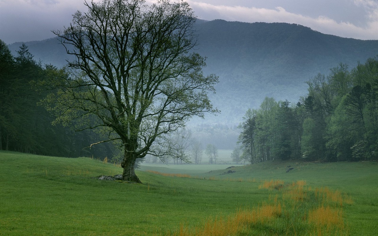 Webshots Scenery Wallpapers (5) #13 - 1280x800