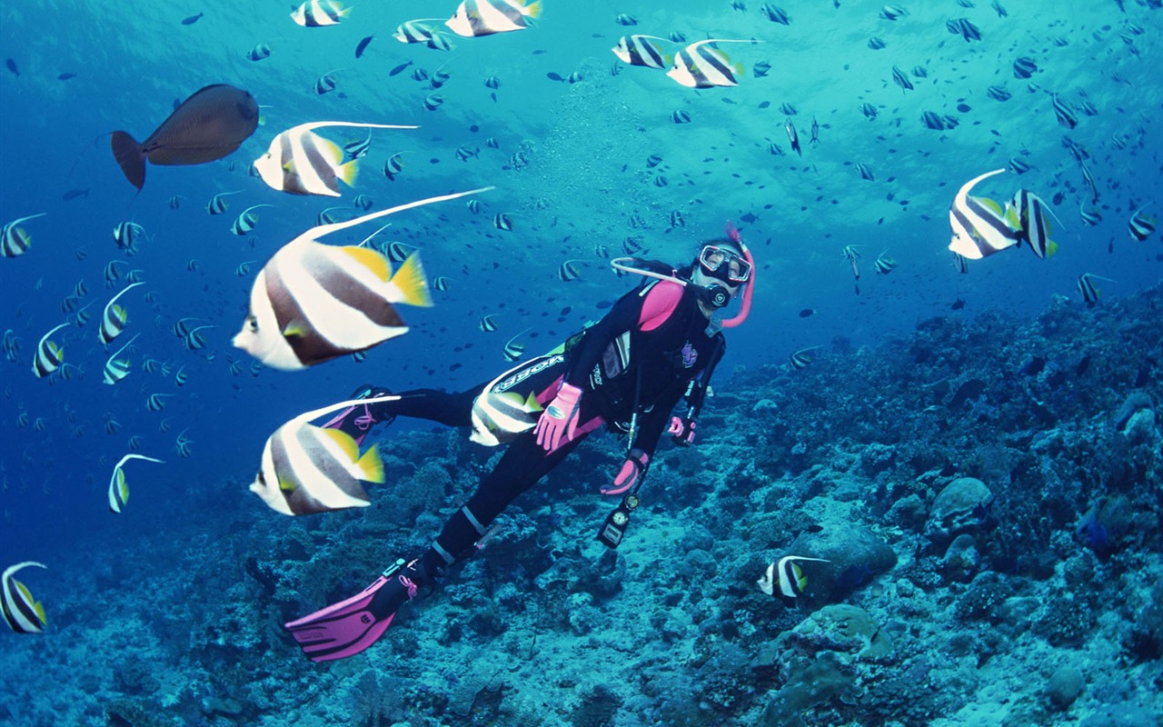 Deep Blue Underwater World Wallpaper #1 - 1280x800