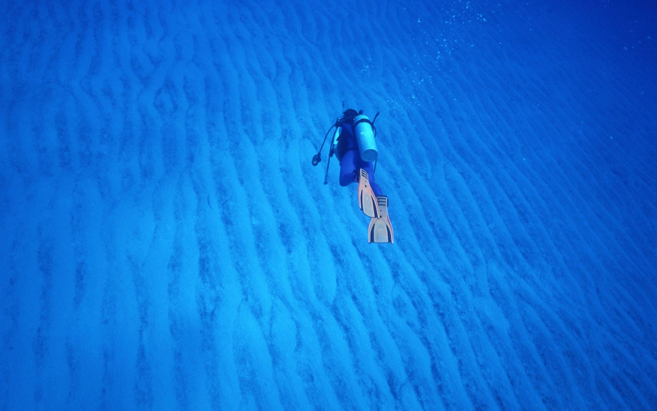 Deep Blue Underwater World Wallpaper #6 - 1280x800