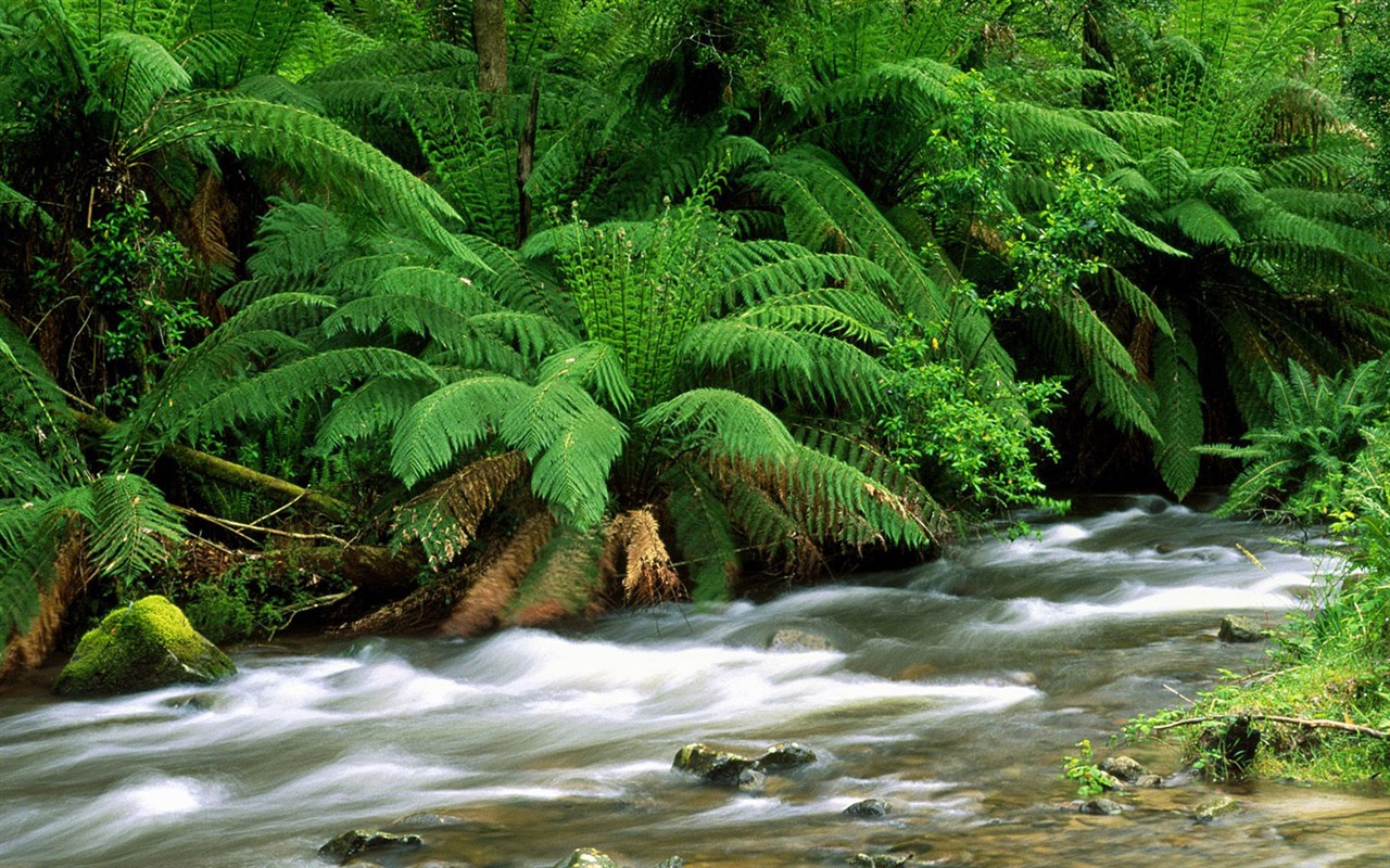 Beautiful natural scenery wallpapers (1) #9 - 1280x800