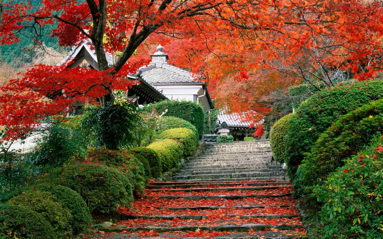 Beautiful natural scenery wallpapers (1) #11 - 1280x800