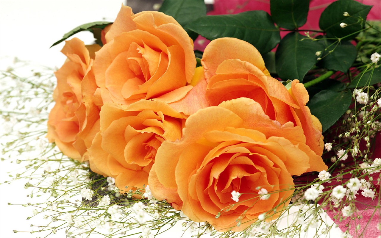 Beautiful natural scenery wallpapers (2) #11 - 1280x800