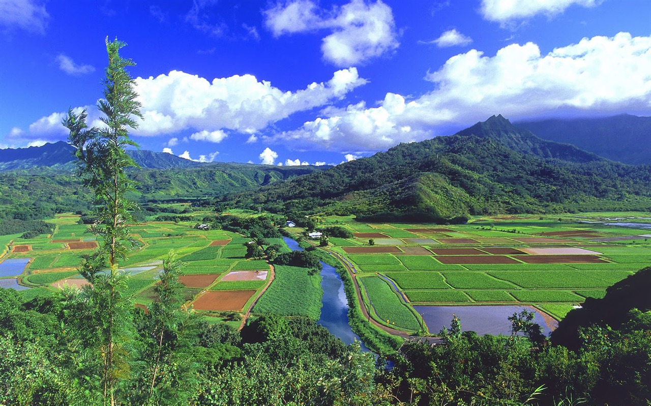 自然風光精美壁紙(二) #20 - 1280x800