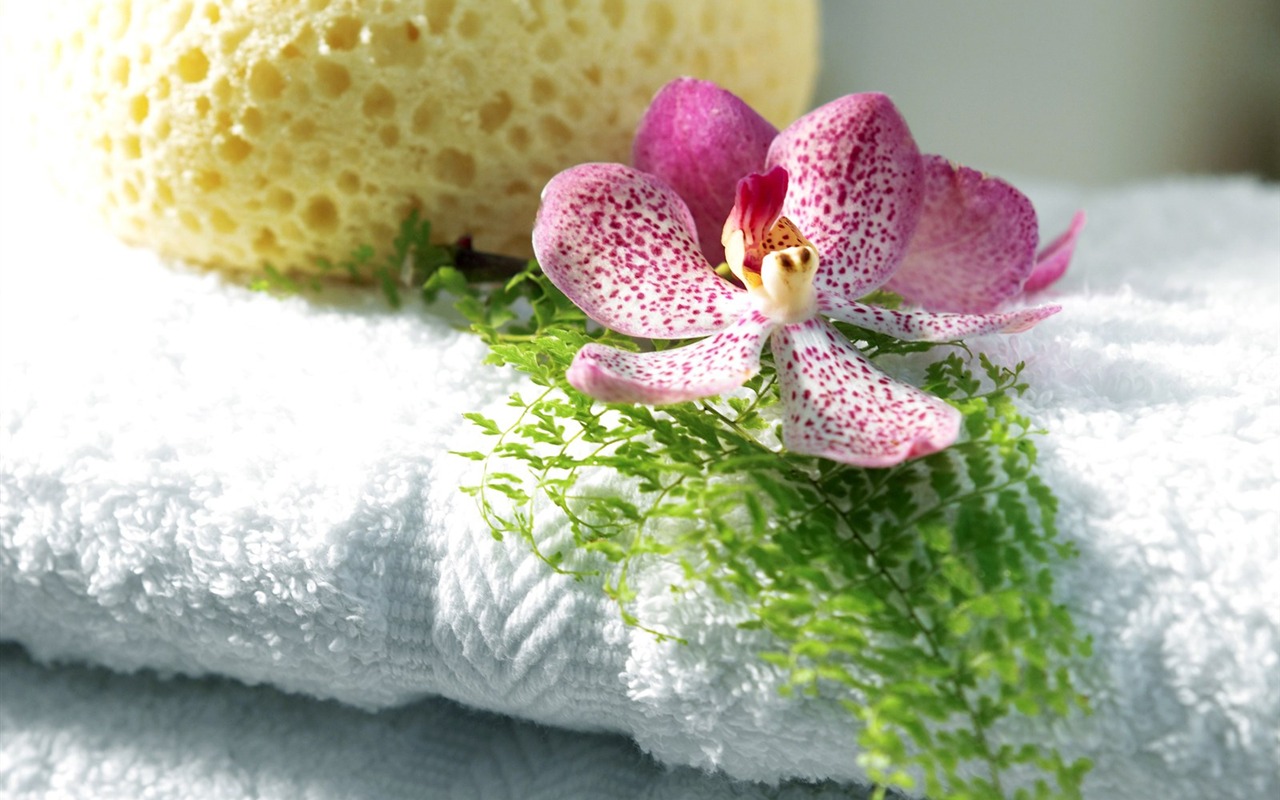 Bathroom decorations Photo Wallpaper #1 - 1280x800