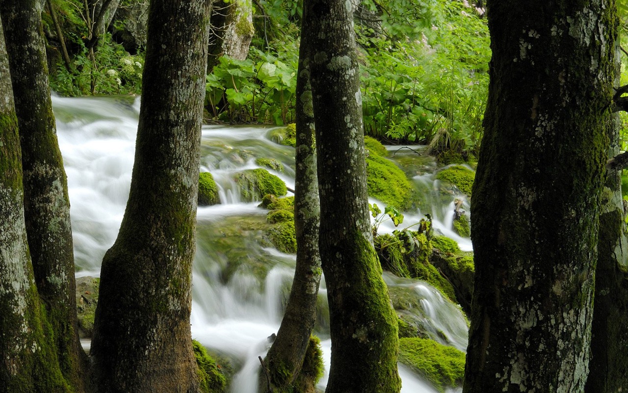 Webshots Krajina Tapety na plochu (6) #31 - 1280x800