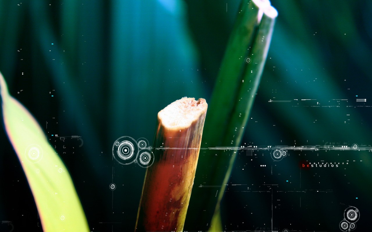抽象視覺CG壁紙 #34 - 1280x800