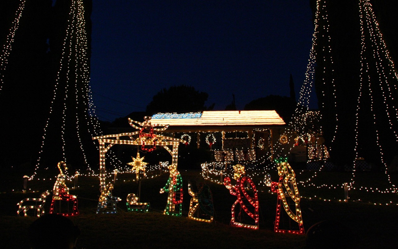 jardinería Navidad fondos de escritorio de la serie (17) #16 - 1280x800