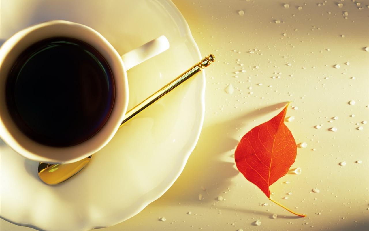 Indoor Still Life Wallpaper Album (1) #19 - 1280x800