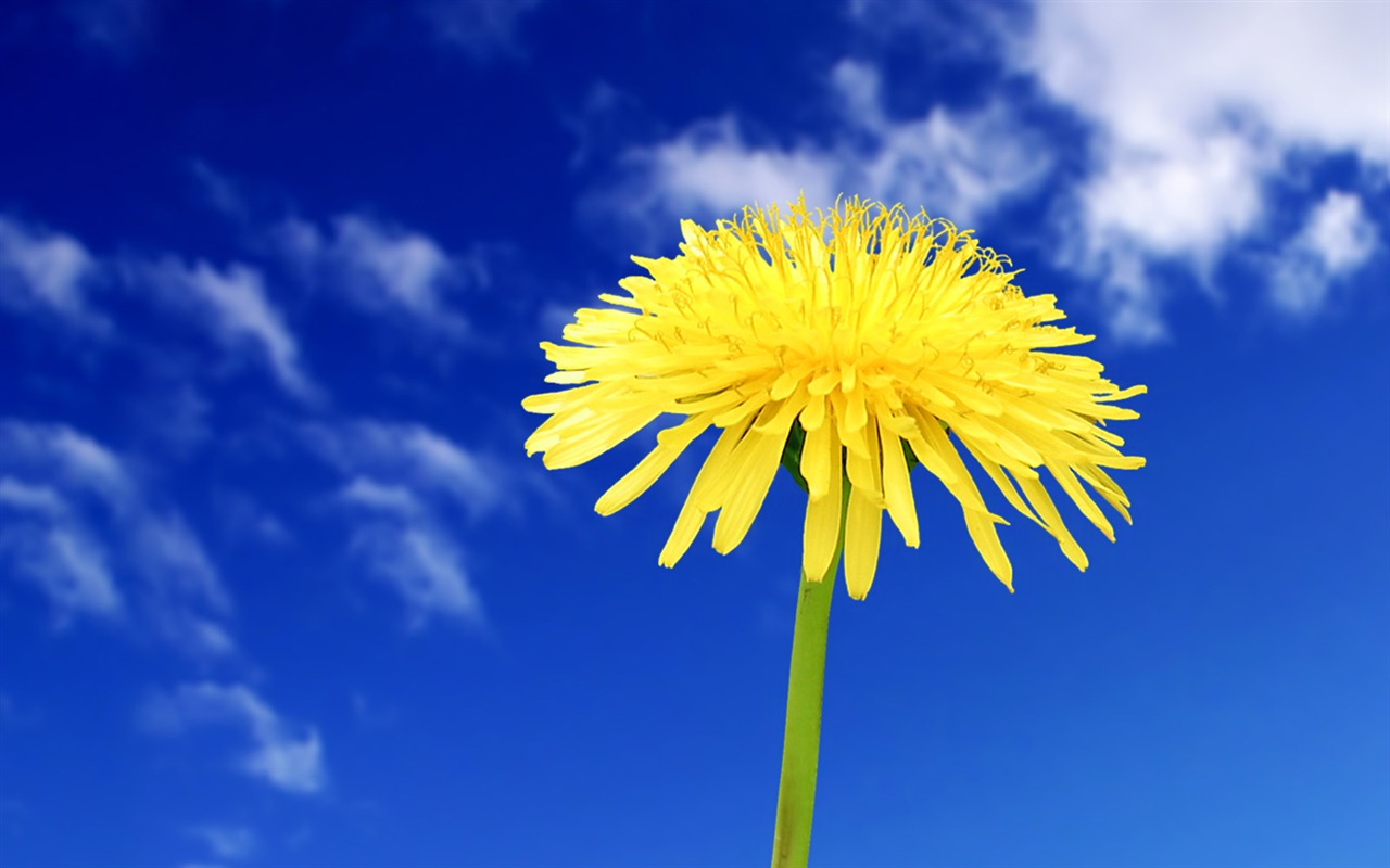 Beautiful natural scenery wallpapers (3) #15 - 1280x800