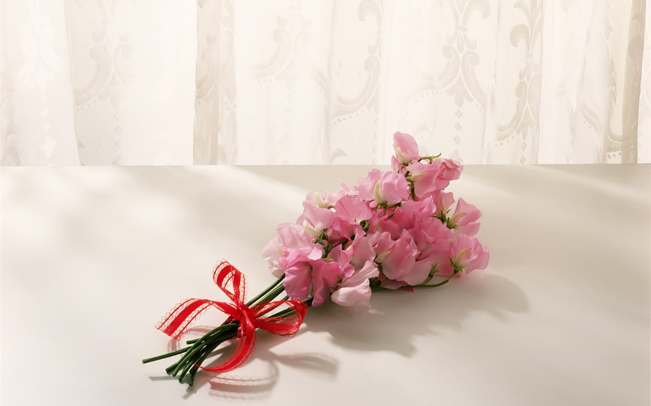Vnitřní Still Life Wallpaper Album (1) #6 - 1280x800