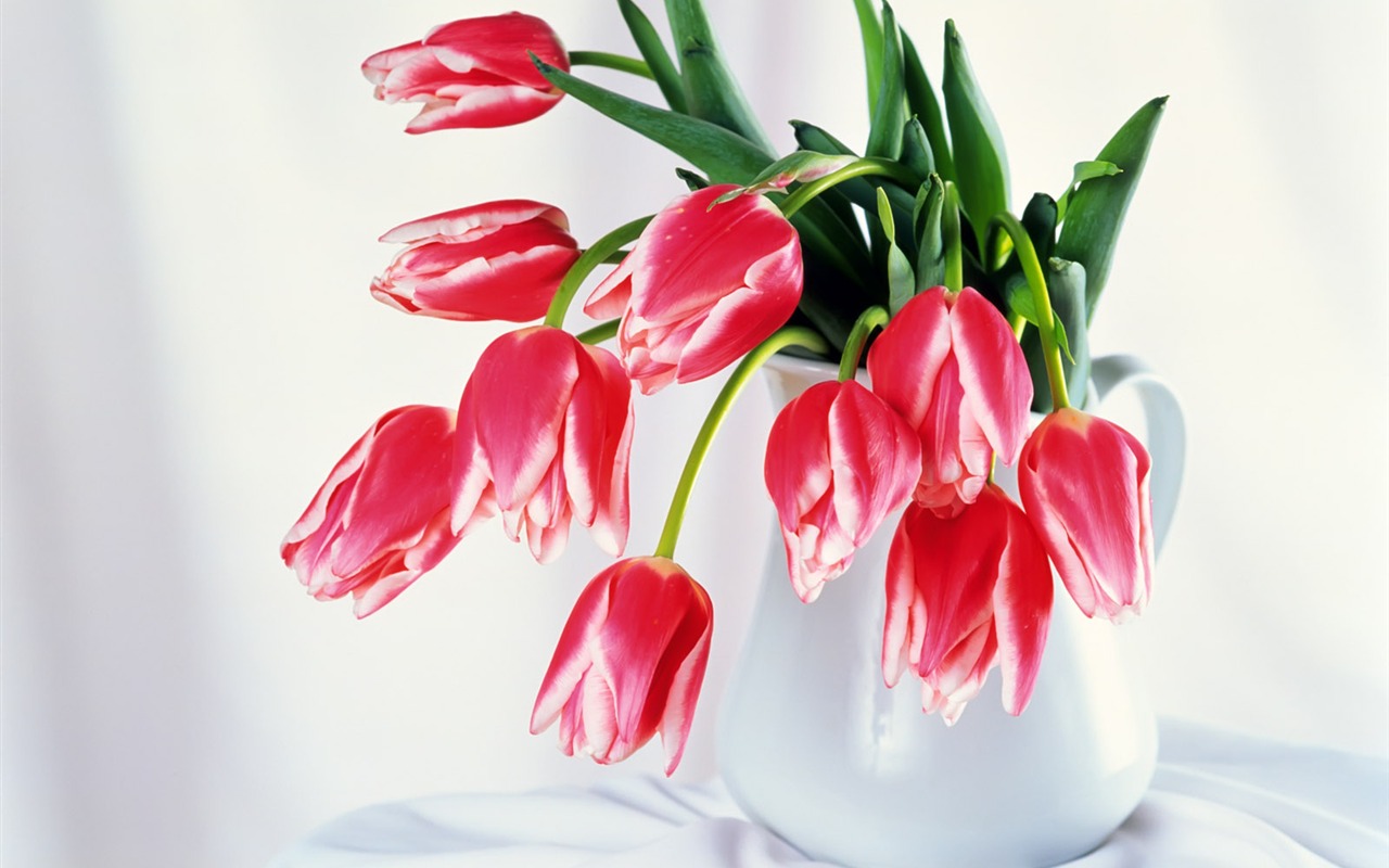 Vnitřní Still Life Wallpaper Album (2) #1 - 1280x800